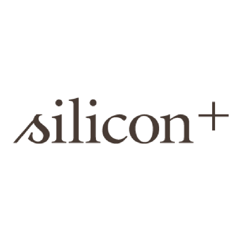 logo_silicon.png