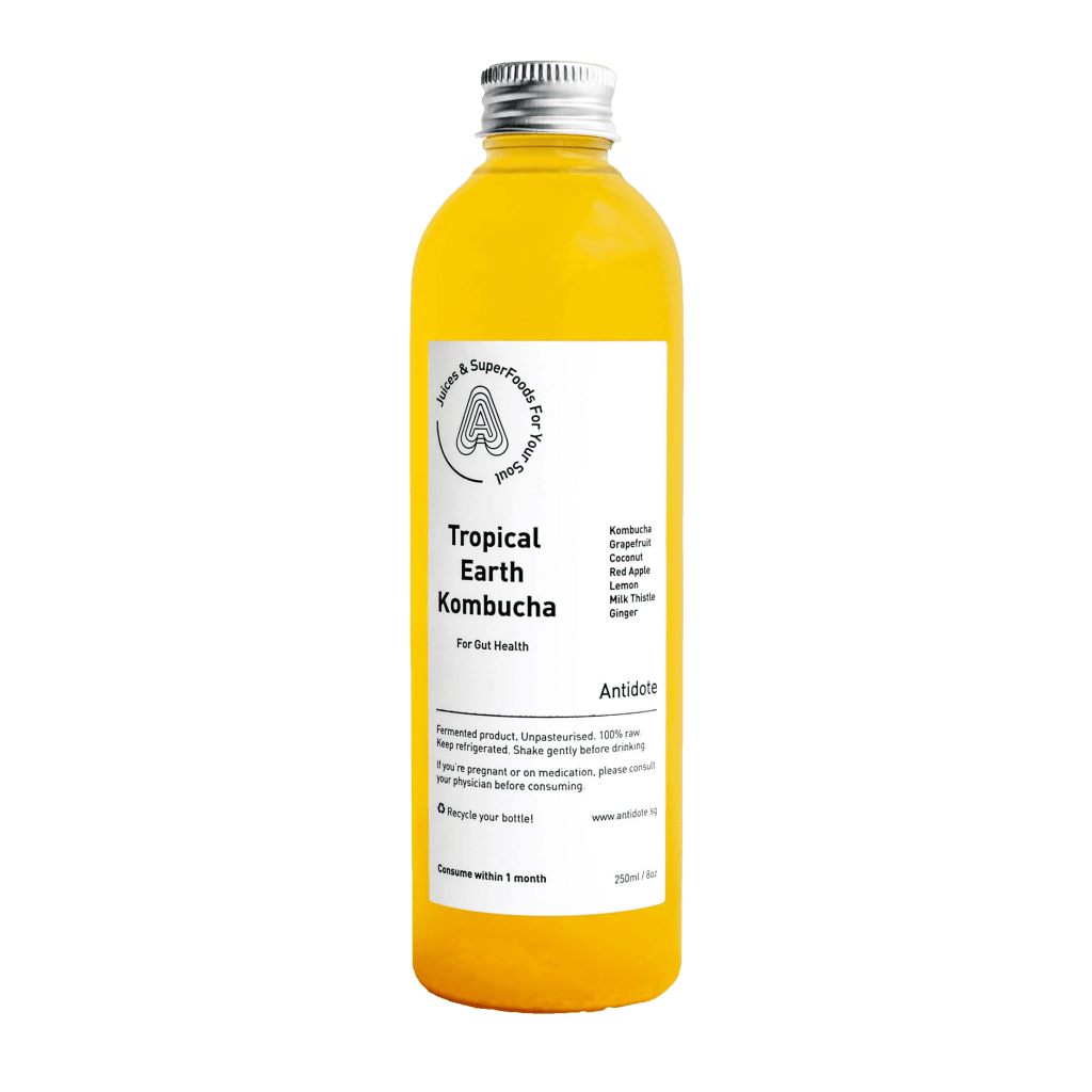 Tropical Earth Kombucha drink